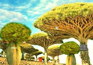 play Escape Seedling Afforest