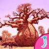 play Escape Seedling Afforest