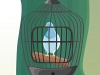 play Pigeon Rescue From Cage