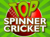 play Top Spinner Cricket Game