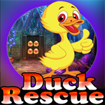 play Duck Rescue