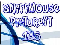 play Pictureit 135