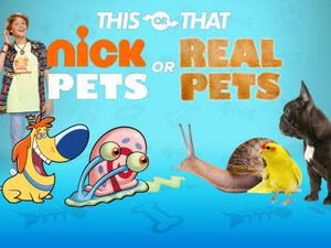 play Nickelodeon: Nick Pets Or Real Pets Quiz