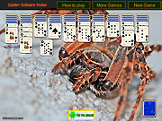 play Spider Solitaire Relax Game