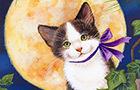 play Cat Swap Escape
