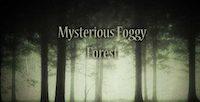 Mysterious Foggy Forest Escape