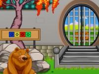 play Forest Baby Bear Rescue