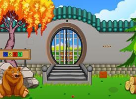 play Forest Baby Bear Rescue