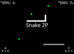 play Snake 2P