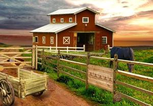 play Stud Farm Escape