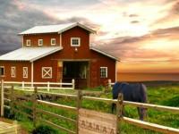 play Escape Stud Farm