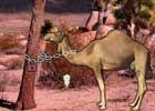 Games2Rule Arabian Desert