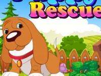 play Puppy Rescue