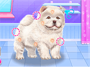 play Chow Chow Spa Salon Game