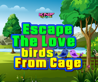 Escape The Love Birds From Cage