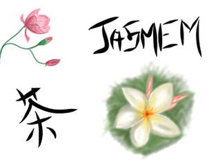 play Jasmem
