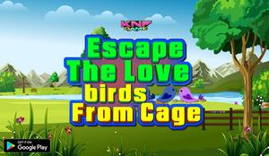 Escape The Love Birds From Cage