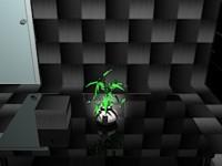 play Black Room Escape 5