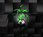 play Black Room Escape 5