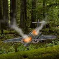 play Plane Crashed Forest Escape