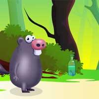 play Guinea-Pig-Adventure-Gamesclicker