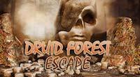 play Druid Forest Escape