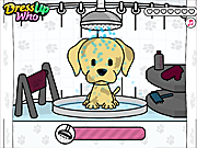 play Pet Salon Doggy Days Game