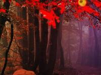 play Red Autumn Forest