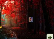 play Red Autumn Forest
