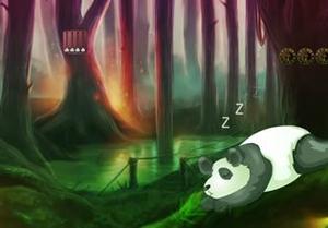 Giant Panda Forest Escape