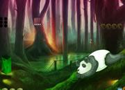 play Giant Panda Forest Escape