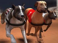 Greyhound Racing