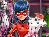 Miraculous Hero Closet