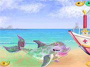 play Baby Dolphin Care Game