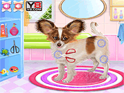 play Papillon Puppy Care Game