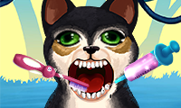 play Become An Animal Dentist