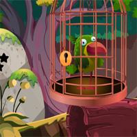 play Rescue Adventure Bird From Cage