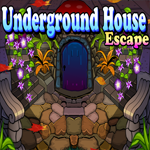play Underground House Escape