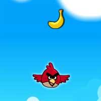 play Angry Birds Sling Shot Fun 3