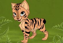 play Kitten Maker