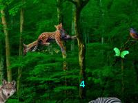play Wild Animals Forest Escape