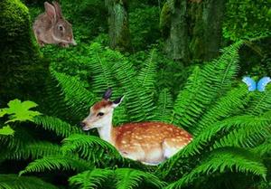 play Wild Animals Forest Escape