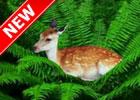 play Wild Animals Forest