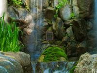 play Escape Waterfalls