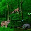 Wild Animals Forest Escape