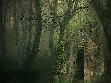 play Mysterious Foggy Forest Escape