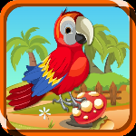 play Zoozoo Scarlet Bird Escape