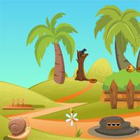 play Zoozoo Scarlet Bird Escape