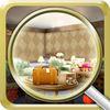 Hidden Objects Rooms Investigation
