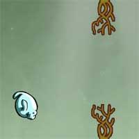 play Speedy Manati